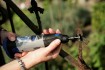 Набор оснастки Dremel 2.615.S72.4JA