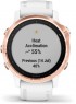 Умные часы Garmin Fenix 6S Pro / 010-02159-14 (черный)