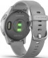 Умные часы Garmin Vivoactive 4s / 010-02172-03 (серебристый/серый)