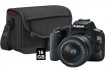Зеркальный фотоаппарат Canon EOS 250D Essential Travel Kit / 3454C010