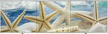 Экран для ванны Comfort Alumin Морская звезда 3D 150x50