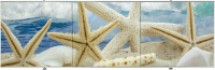 Экран для ванны Comfort Alumin Морская звезда 3D 170x50