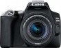 Зеркальный фотоаппарат Canon EOS 250D Kit EF-S 18-55mm III + сумка SB130 и SD-карта 16GB (черный)