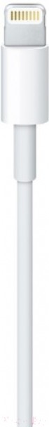 Адаптер Apple MKQ42