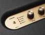 Портативная колонка Marshall Woburn (черный)