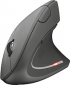 Мышь Trust Verto Wireless Ergonomic Mouse / 22879