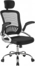 Кресло офисное Mio Tesoro Гельмут AF-C4350 (черный)