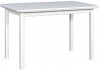Обеденный стол Drewmix Max 4 S (белый)